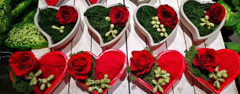 I fiori da regalare a San Valentino: guida pratica per innamorati